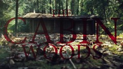 Movies horror cabin Cabin in the Woods