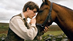 Movies Horses posters jeremy irvine War Horse