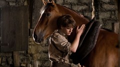 Movies Horses posters jeremy irvine War Horse