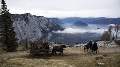 Movies Horses Season of the Witch Medieval scape