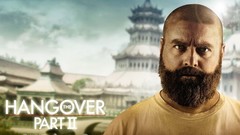 Movies Men Actors The Hangover zach galifianakis The Hangover 