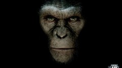 Movies monkeys apes Rise of the Planet of the Apes cezar