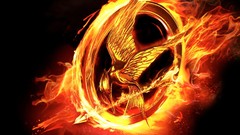 Movies pin the hunger games mockingjay