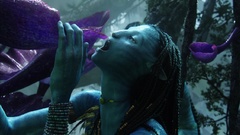 Movies pirates Ice Age Avatar outer space screenshots