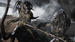 Movies predator alien Aliens vs Predator movie