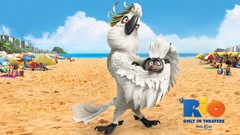 Movies Rio (movie) animation