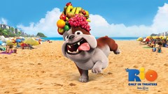 Movies Rio (movie) animation