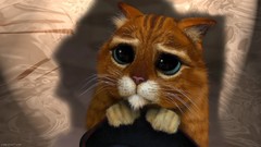 Movies Shrek cats funny puss in boots