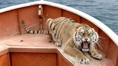 Movies stills Life of Pi