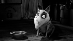 Movies Tim Burton frankenweenie