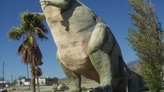 Mrrex West of palm