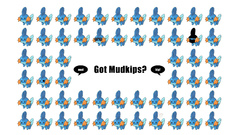 Mudkip