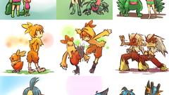 Mudkip Blaziken Grovyle Marshtomp