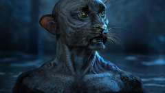 Muharraqi Wild animal creature