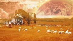 Multicolor Animals planets orange