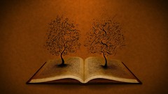 Multicolor Books vladstudio