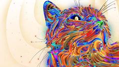 Multicolor cats inverted Matei