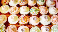 Multicolor food cupcakes icing