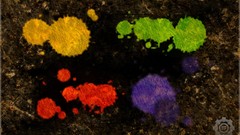 Multicolor stain