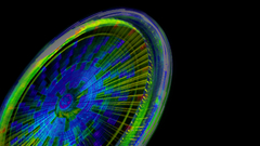 Multicolor wheels black background