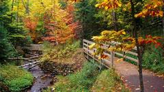 Munising falls trail autumn