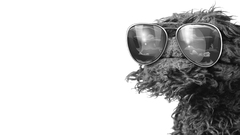 Muppet Oscar the Grouch