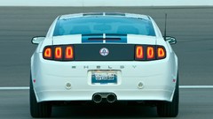 Muscle cars Ford Mustang GT Shelby Mustang