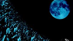 Muse Abuse Music and