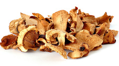 Mushrooms drieds funghi champignons