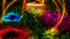 Mushrooms Plants psychedelic multicolor Photo manipulation 