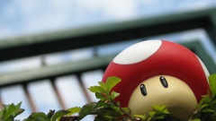 Mushrooms Super Mario Bros.