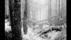 Music and Dance behemoth