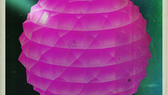 Music and Dance listen