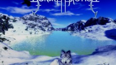 Music bands sonata arctica