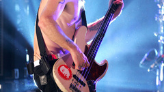 Music bass guitars red