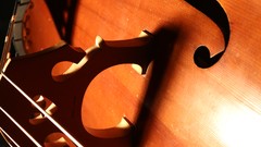 Music brown instruments bass double bass canon eos 650d String 