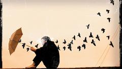 Music Cover bands Radical