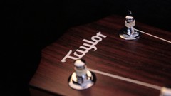 Music guitars Taylor guitars