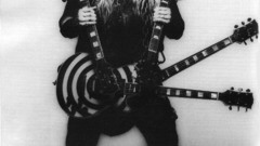 Music guitars zakk wylde