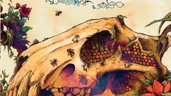 Music honey Earth 2008 album covers The Bees