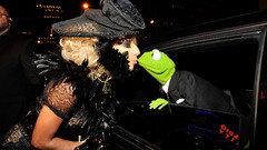 Music lady gaga kermit