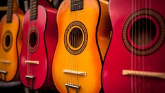 Music Musical Instruments guitars