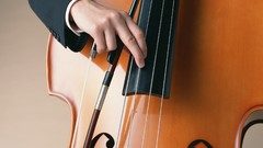 Music notes guitars Sitar Musical Performance Music Systems 