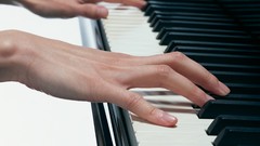 Music notes Musical Performance Music Systems Music Art