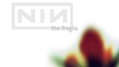 Music The fragile Music