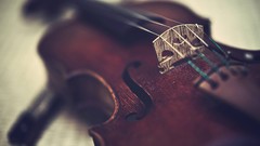 Music violins classical