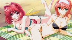 Muv-luv Suzumiya Akane Kagami