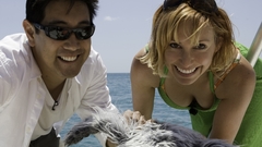 MythBusters kari byron