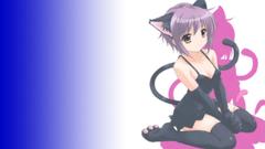 Nagato yuki nekomimi the