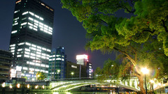 Nakanoshima east World